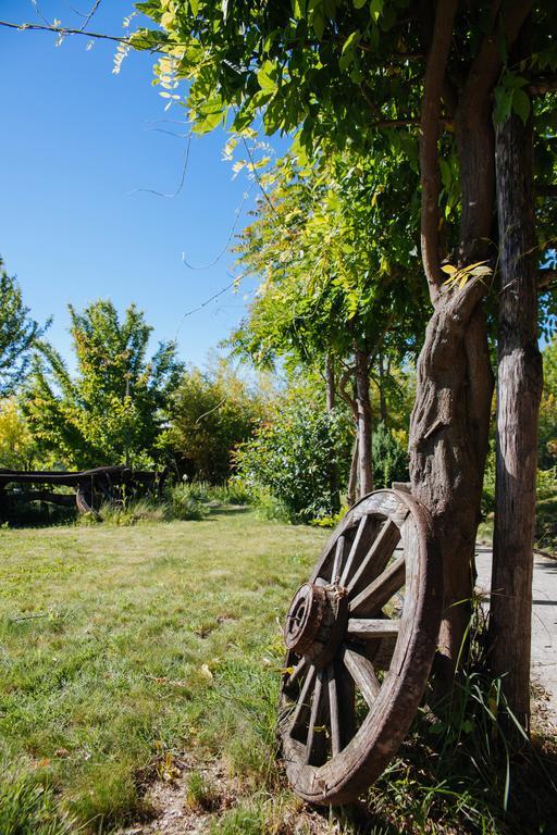 I Grilli Bed & Breakfast Castagnole delle Lanze Exterior foto